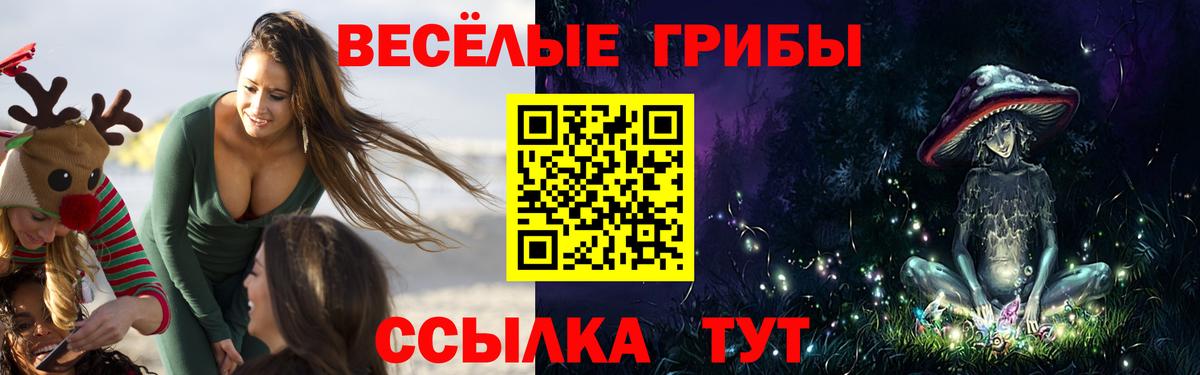 Галлюциногенные грибы Magic Shrooms  Вход с VPN  Малгобек 