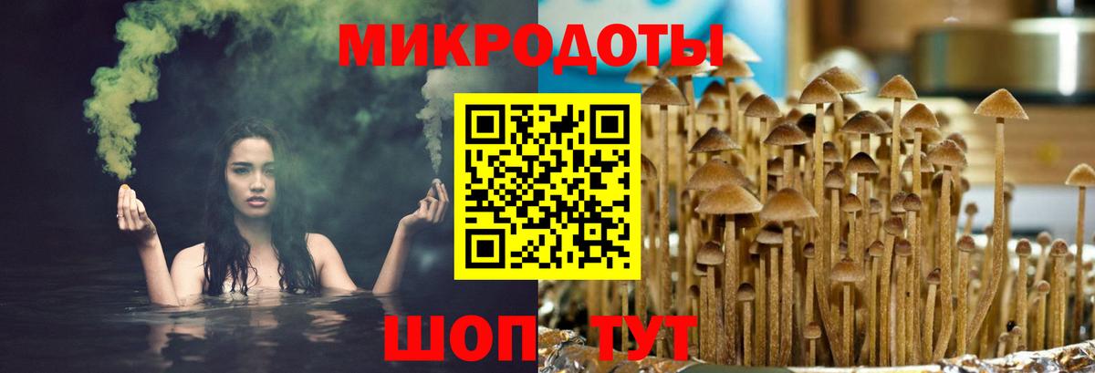 Галлюциногенные грибы ЛСД Малгобек